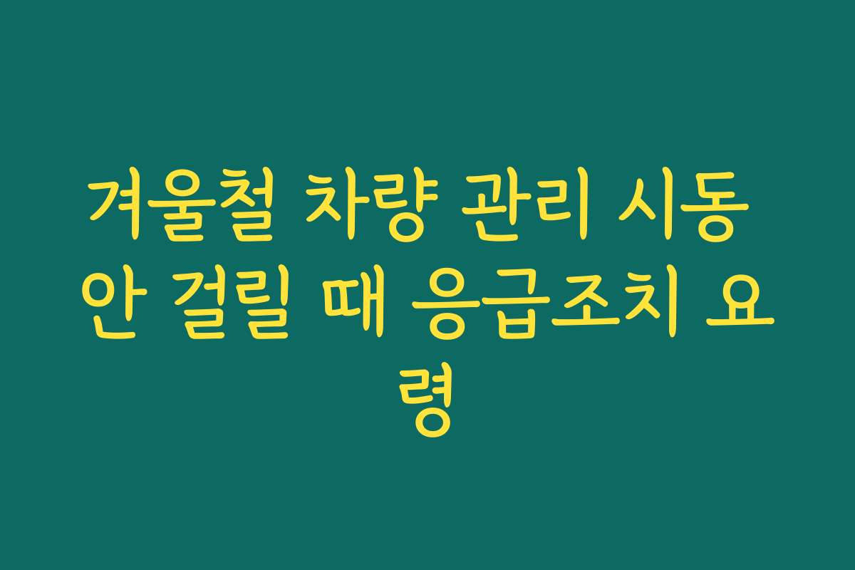 겨울철 차량 관리 시동 안 걸릴 때 응급조치 요령