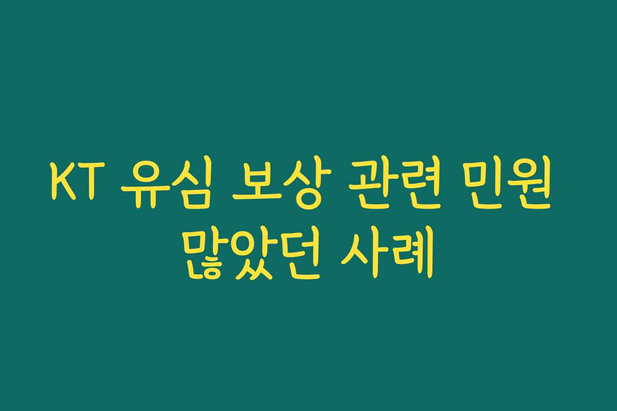 KT 유심 보상 관련 민원 많았던 사례
