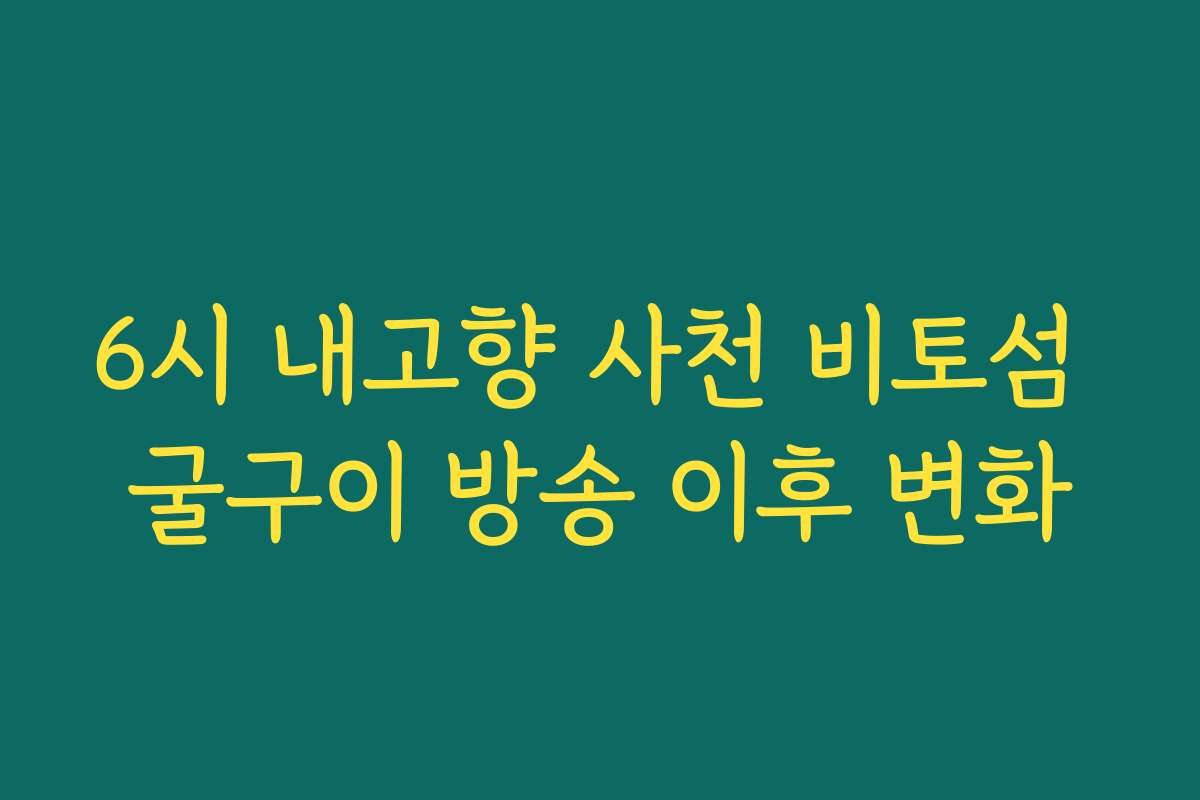 6시 내고향 사천 비토섬 굴구이 방송 이후 변화