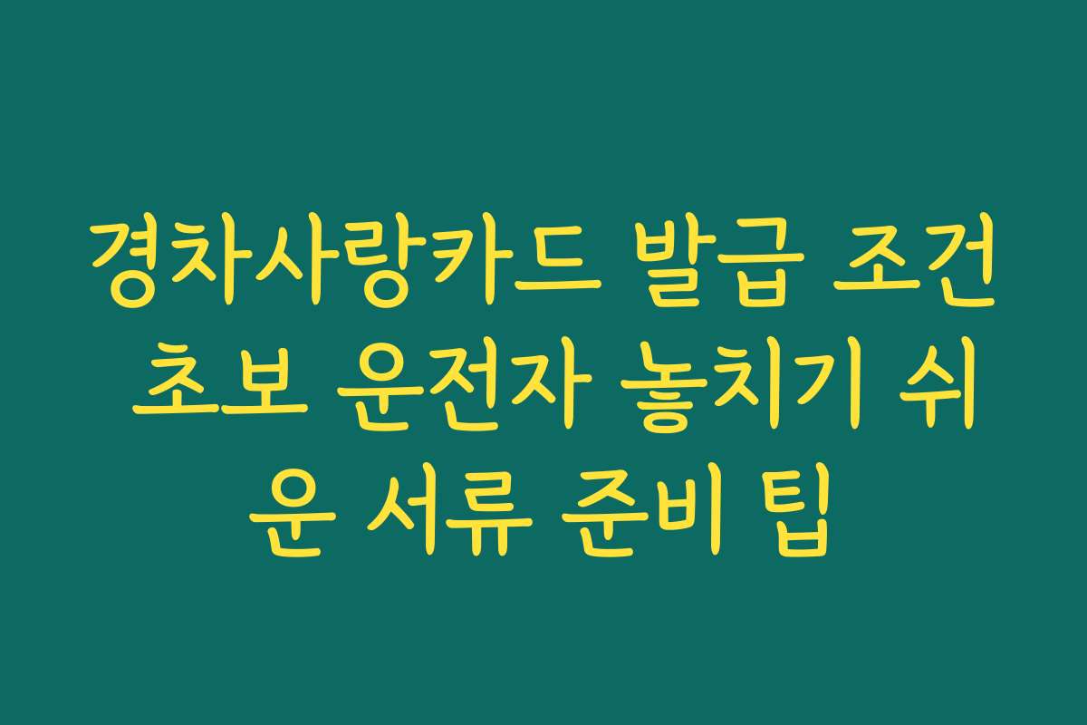 경차사랑카드 발급 조건 초보 운전자 놓치기 쉬운 서류 준비 팁