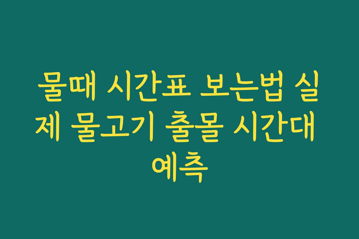 물때 시간표 보는법 실제 물고기 출몰 시간대 예측