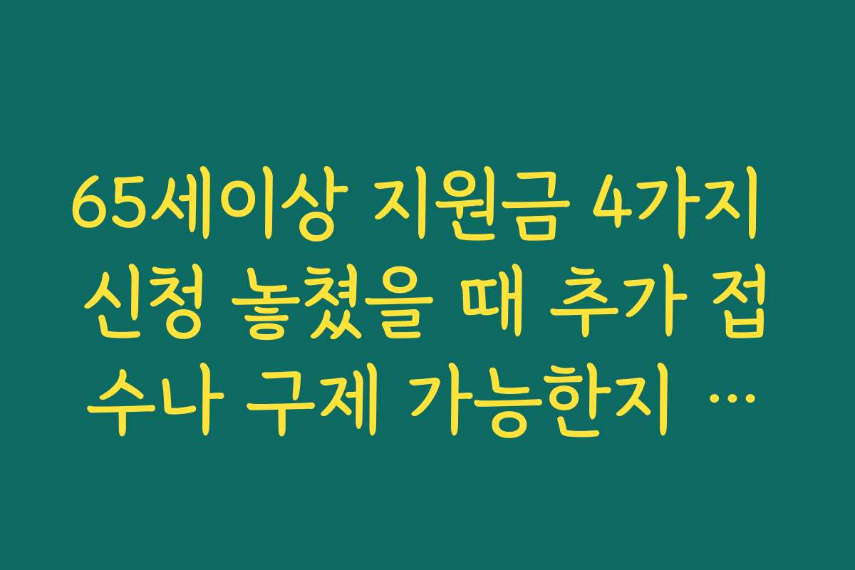 65세이상 지원금 4가지 신청 놓쳤을 때 추가 접수나 구제 가능한지 확인하기