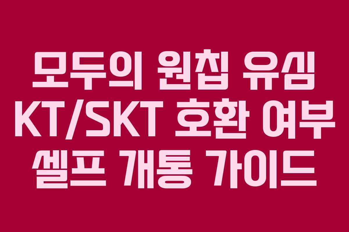 모두의 원칩 유심 KT/SKT 호환 여부 셀프 개통 가이드