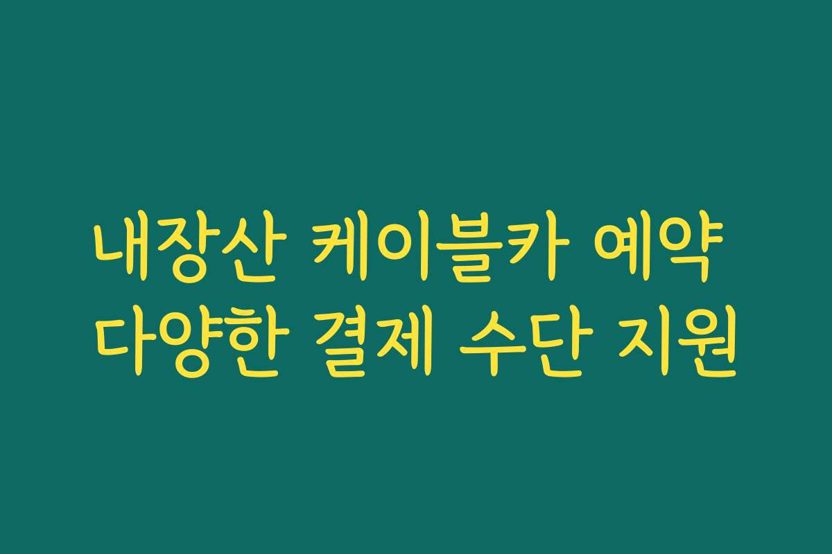 내장산 케이블카 예약 다양한 결제 수단 지원