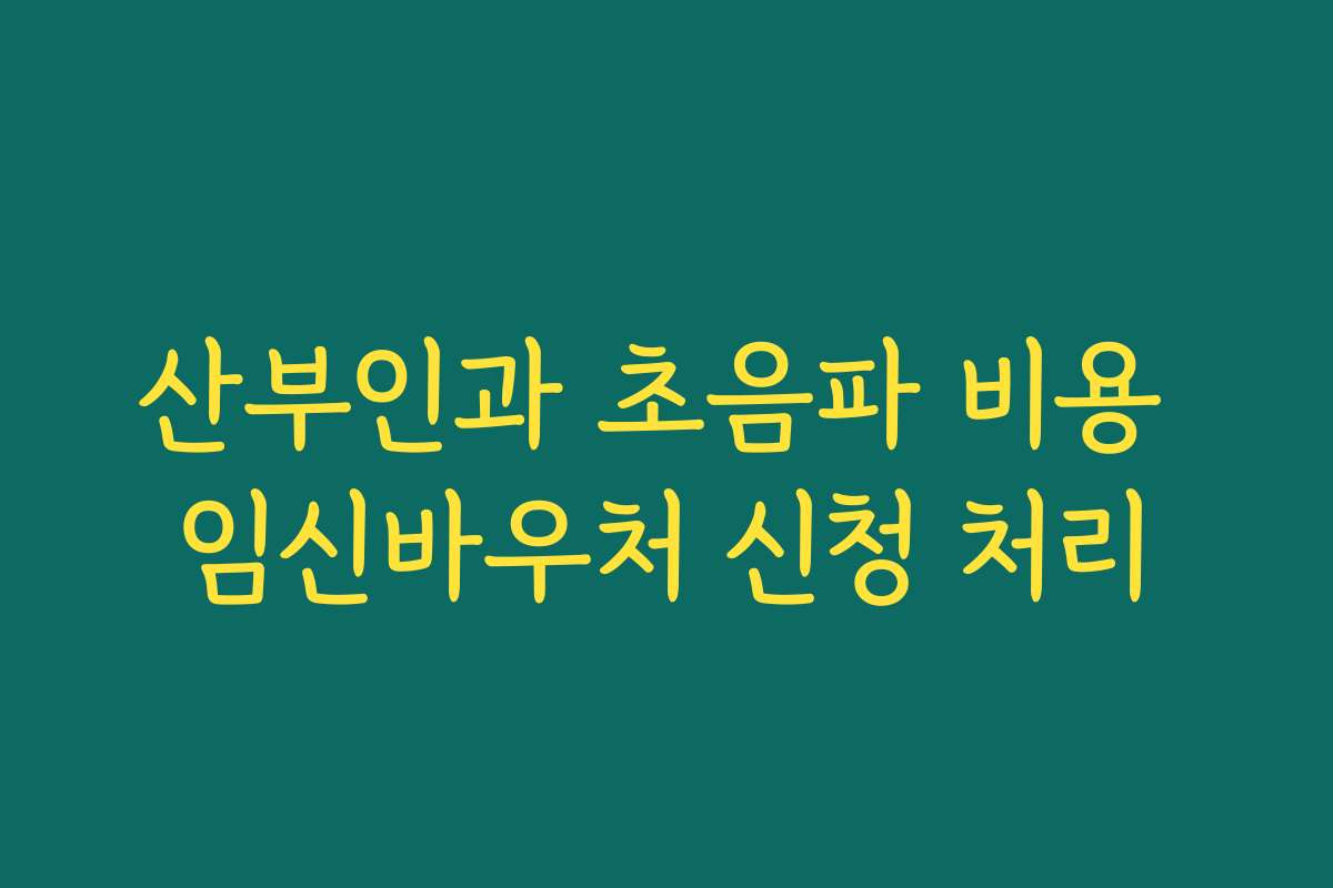 산부인과 초음파 비용 임신바우처 신청 처리