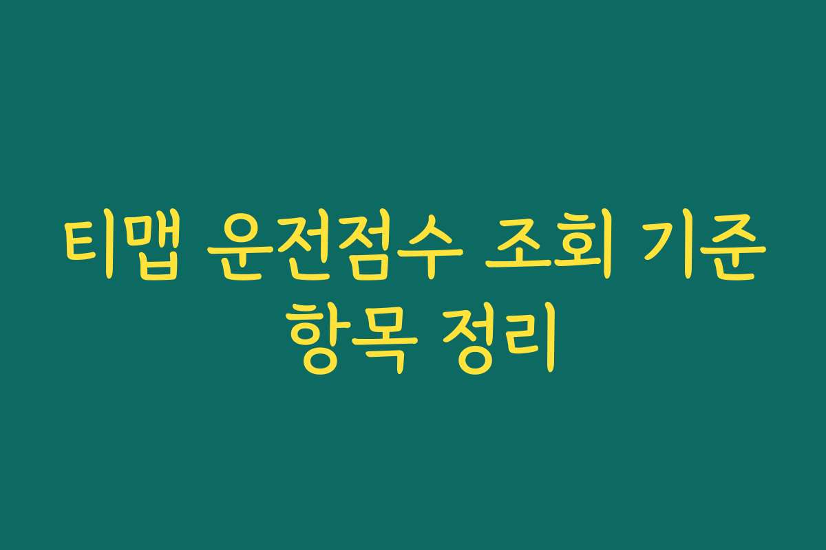 티맵 운전점수 조회 기준 항목 정리