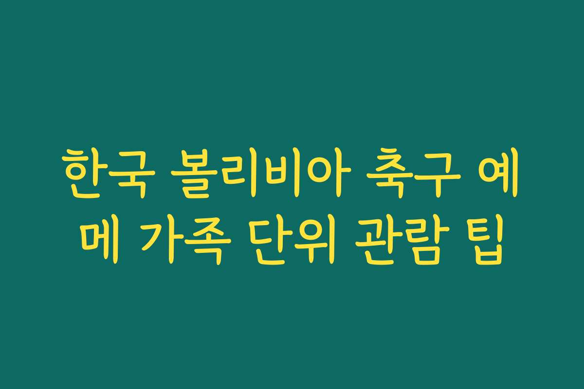 한국 볼리비아 축구 예메 가족 단위 관람 팁