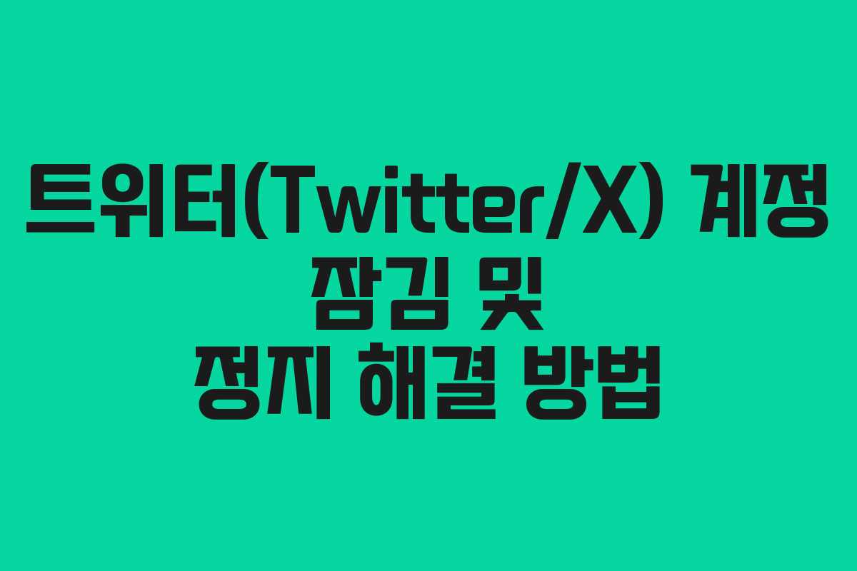 트위터(Twitter/X) 계정 잠김 및 정지 해결 방법