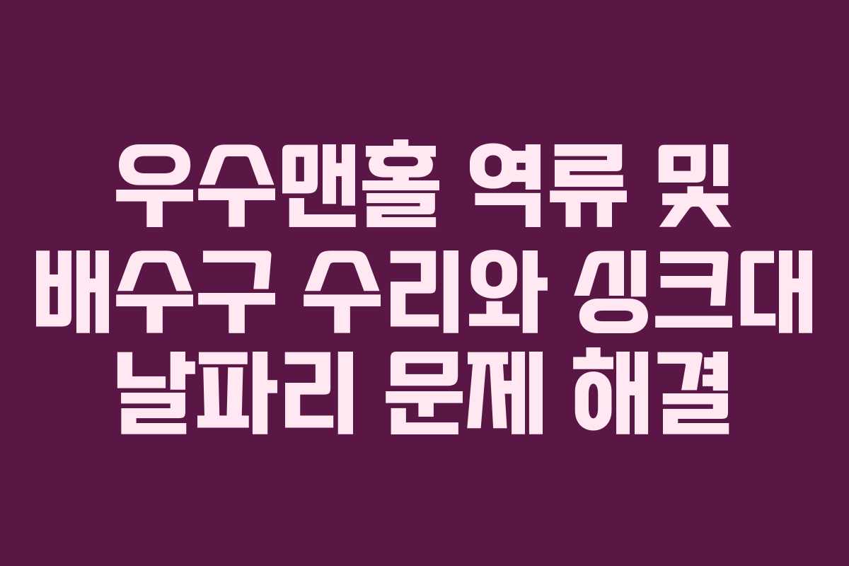 우수맨홀 역류 및 배수구 수리와 싱크대 날파리 문제 해결