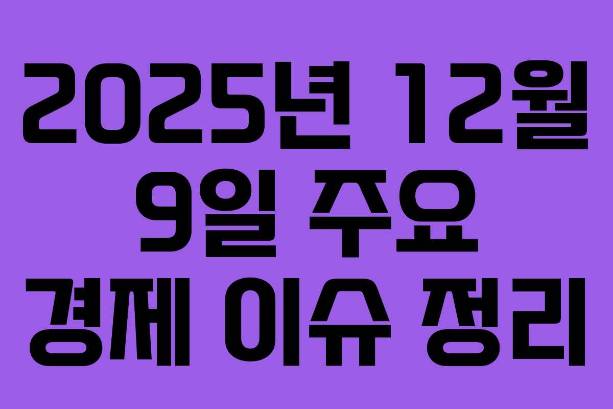 2025년 12월 9일 주요 경제 이슈 정리