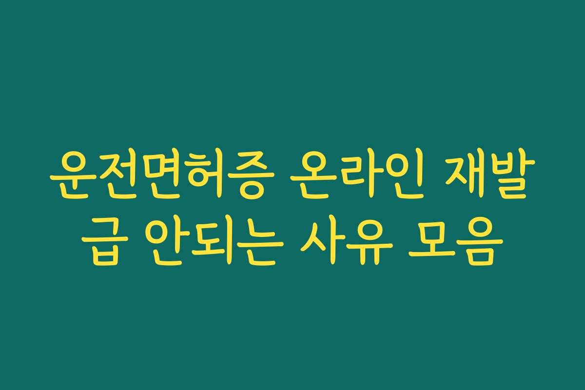 운전면허증 온라인 재발급 안되는 사유 모음
