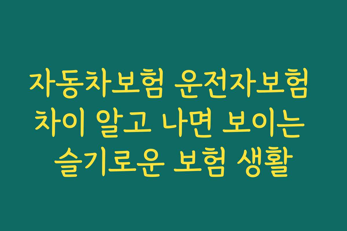 자동차보험 운전자보험 차이 알고 나면 보이는 슬기로운 보험 생활