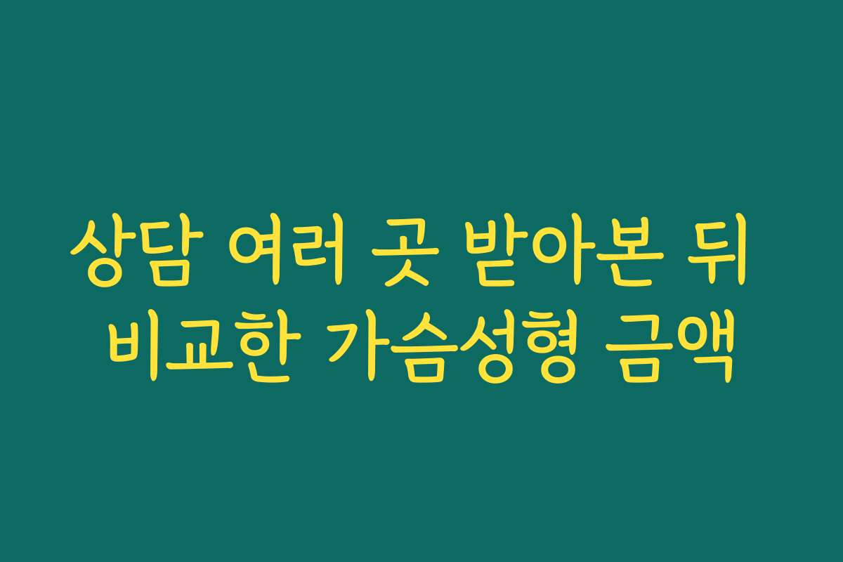 상담 여러 곳 받아본 뒤 비교한 가슴성형 금액