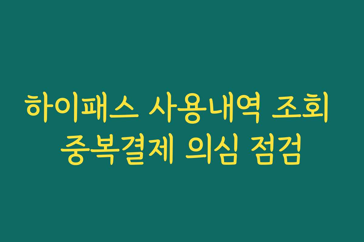 하이패스 사용내역 조회 중복결제 의심 점검