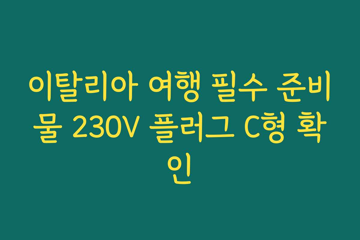 이탈리아 여행 필수 준비물 230V 플러그 C형 확인