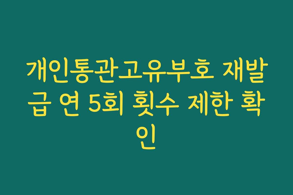 개인통관고유부호 재발급 연 5회 횟수 제한 확인