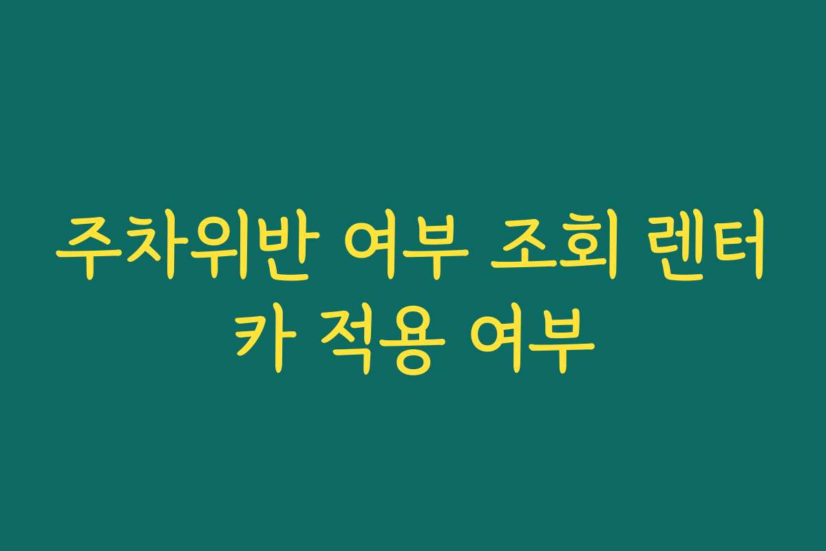 주차위반 여부 조회 렌터카 적용 여부