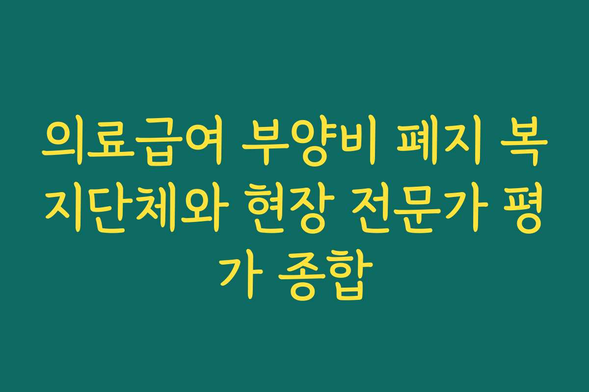 의료급여 부양비 폐지 복지단체와 현장 전문가 평가 종합