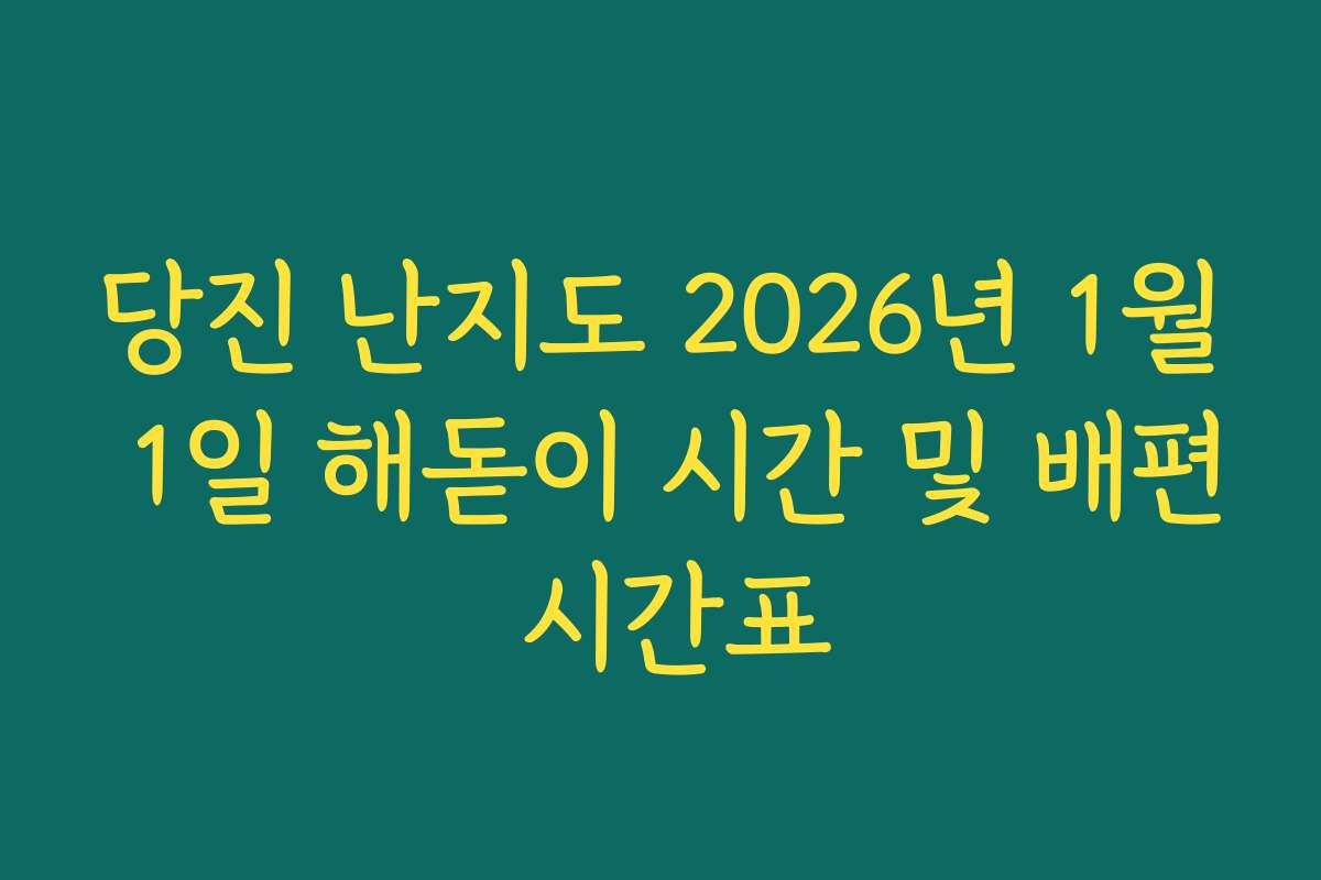 당진 난지도 2026년 1월 1일 해돋이 시간 및 배편 시간표