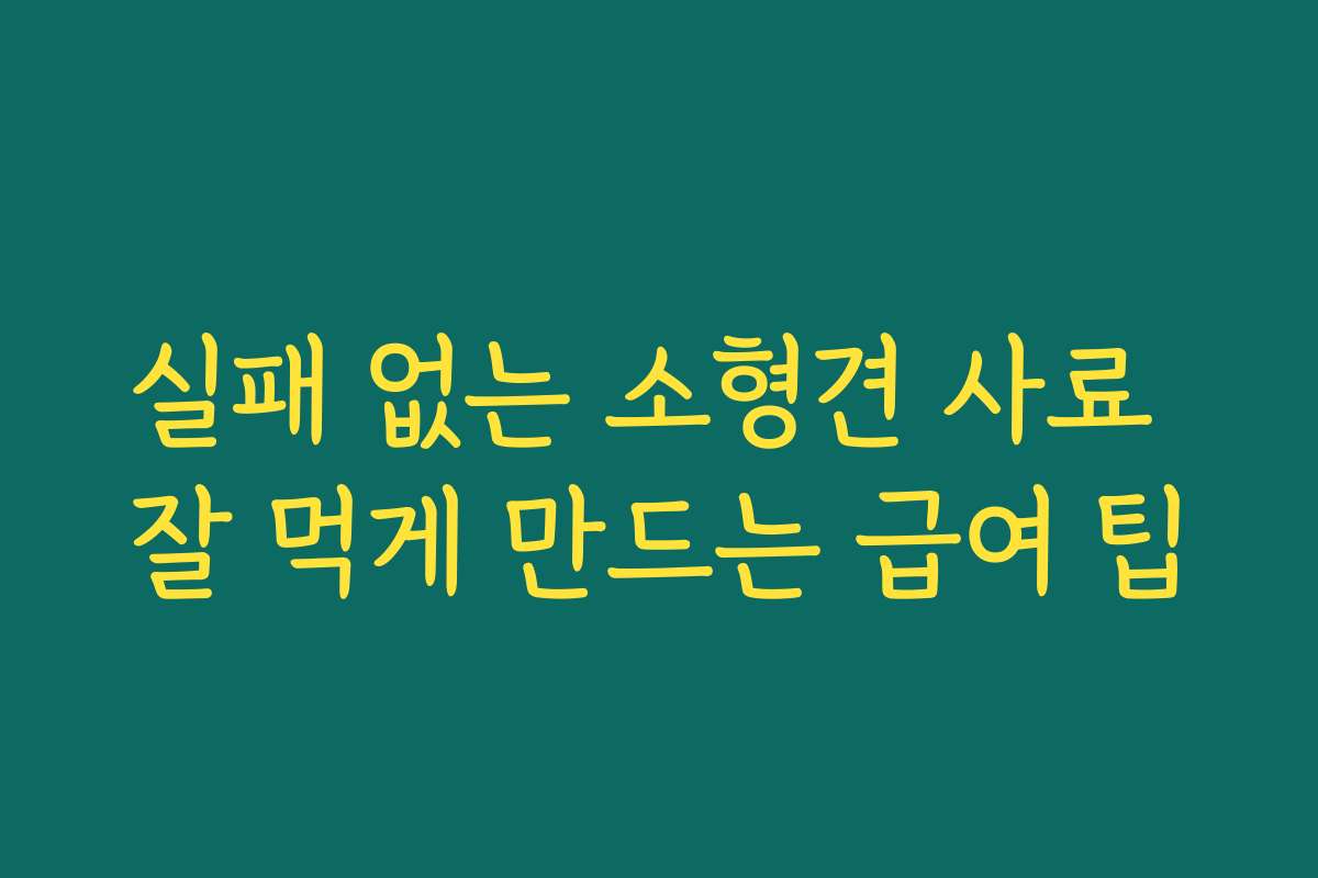 실패 없는 소형견 사료 잘 먹게 만드는 급여 팁