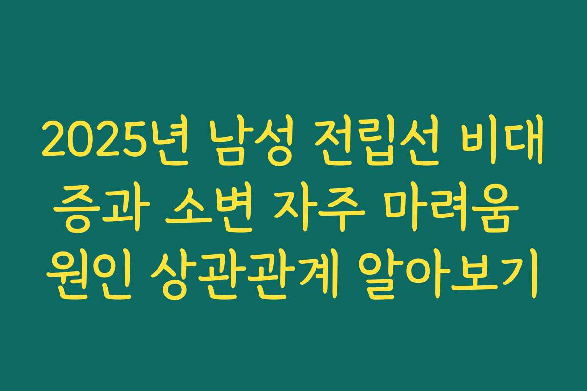 2025년 남성 전립선 비대증과 소변 자주 마려움 원인 상관관계 알아보기
