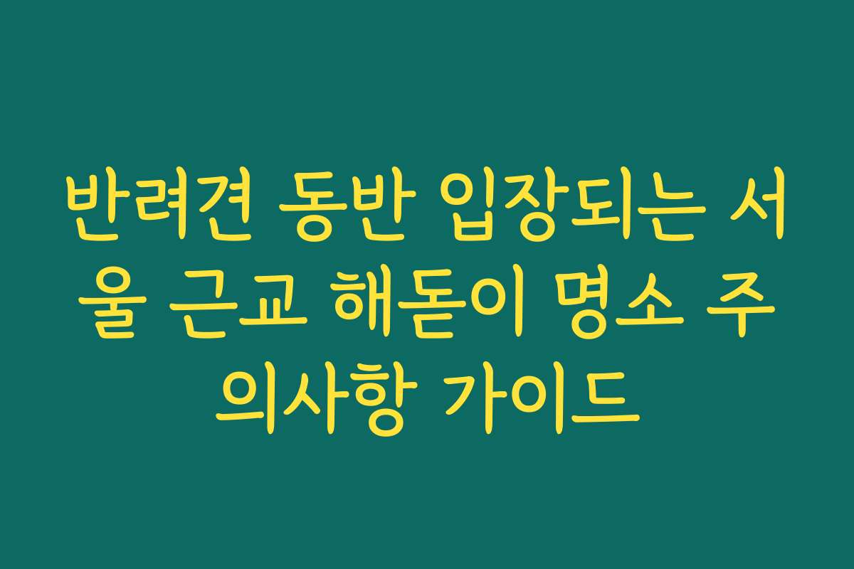 반려견 동반 입장되는 서울 근교 해돋이 명소 주의사항 가이드