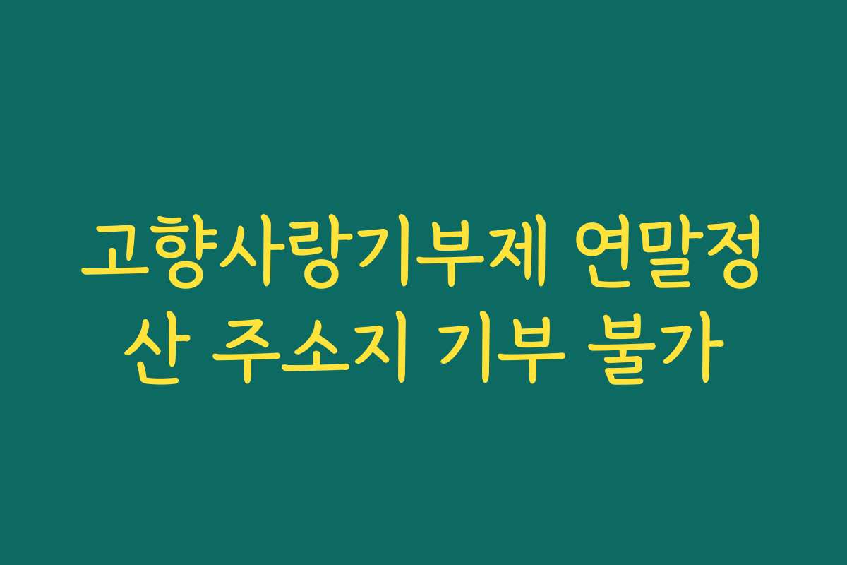 고향사랑기부제 연말정산 주소지 기부 불가 고향사랑기부제 연말정산 주소지 기부 불가