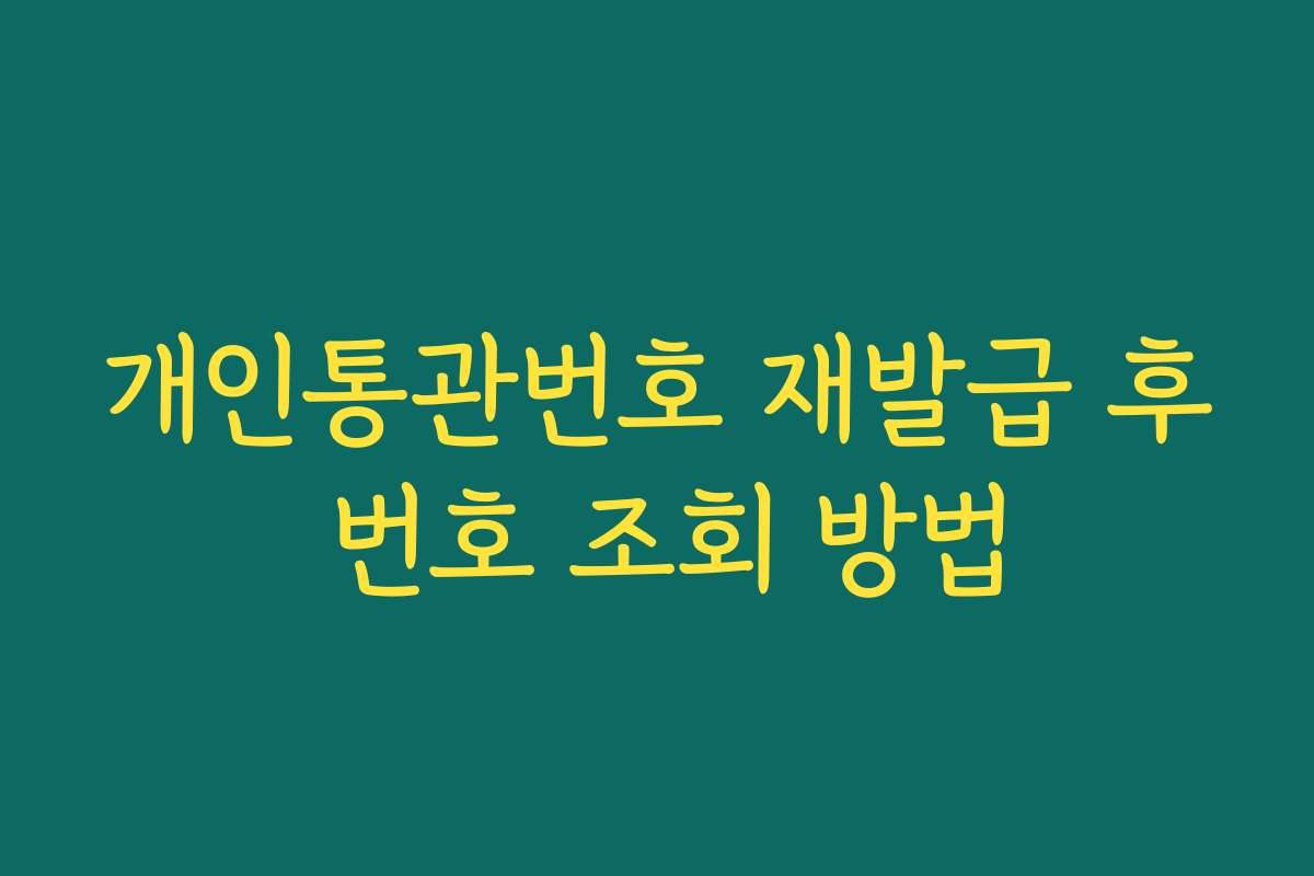 개인통관번호 재발급 후 번호 조회 방법 개인통관번호 재발급 후 번호 조회 방법