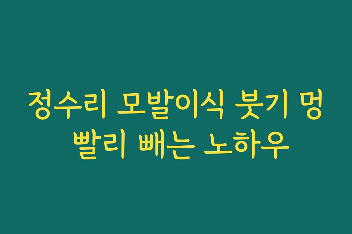 정수리 모발이식 붓기 멍 빨리 빼는 노하우