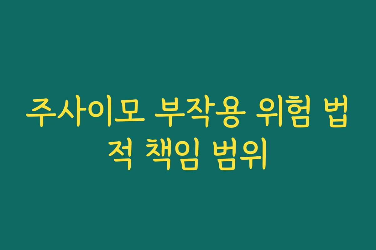 주사이모 부작용 위험 법적 책임 범위 주사이모 부작용 위험 법적 책임 범위