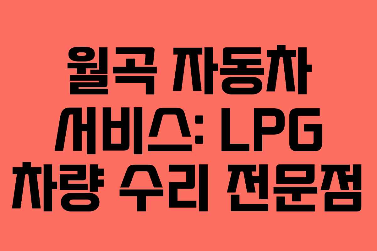 월곡 자동차 서비스: LPG 차량 수리 전문점