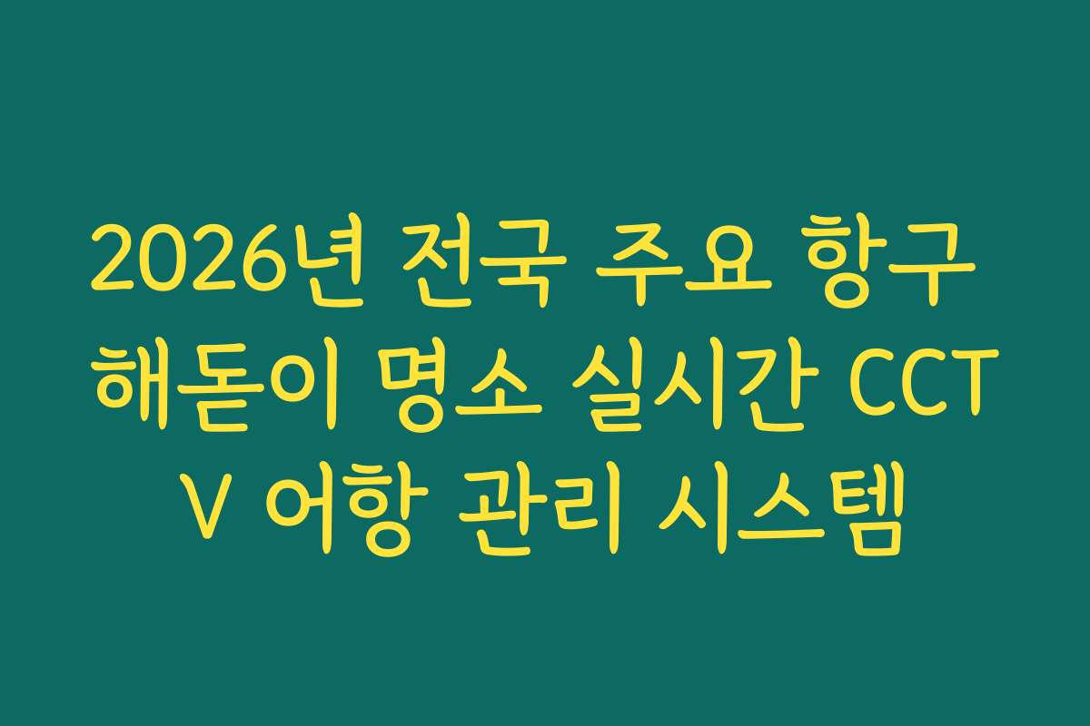 2026년 전국 주요 항구 해돋이 명소 실시간 CCTV 어항 관리 시스템