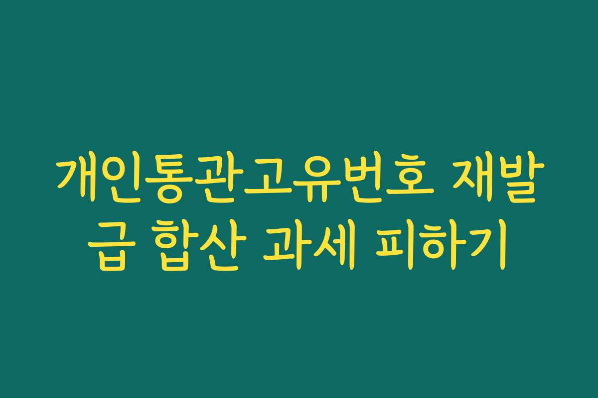 개인통관고유번호 재발급 합산 과세 피하기