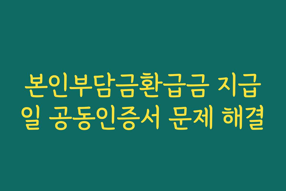 본인부담금환급금 지급일 공동인증서 문제 해결