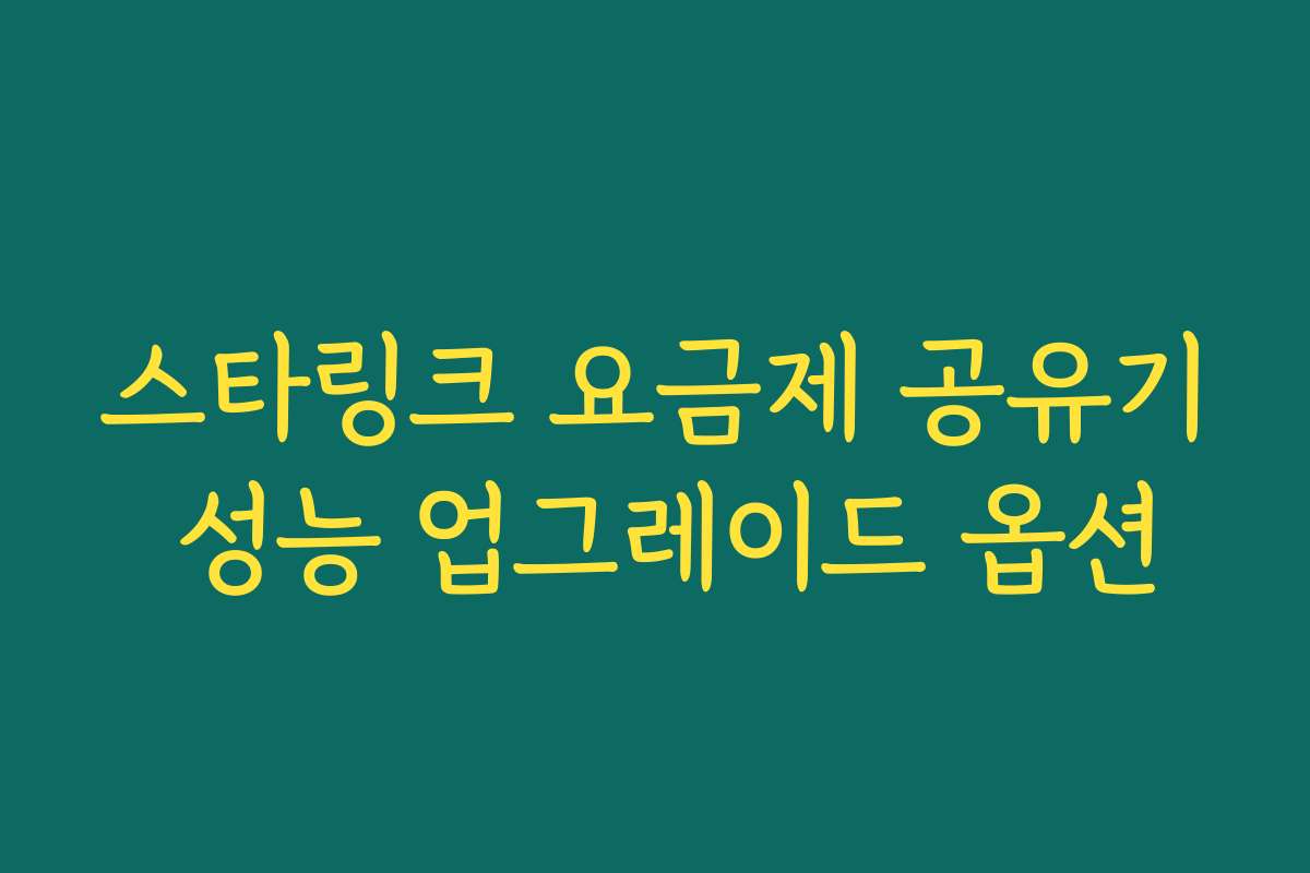 스타링크 요금제 공유기 성능 업그레이드 옵션