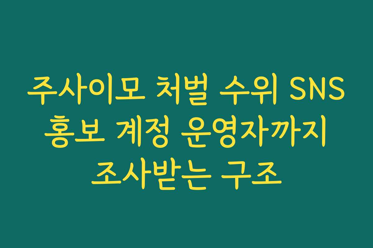 주사이모 처벌 수위 SNS 홍보 계정 운영자까지 조사받는 구조