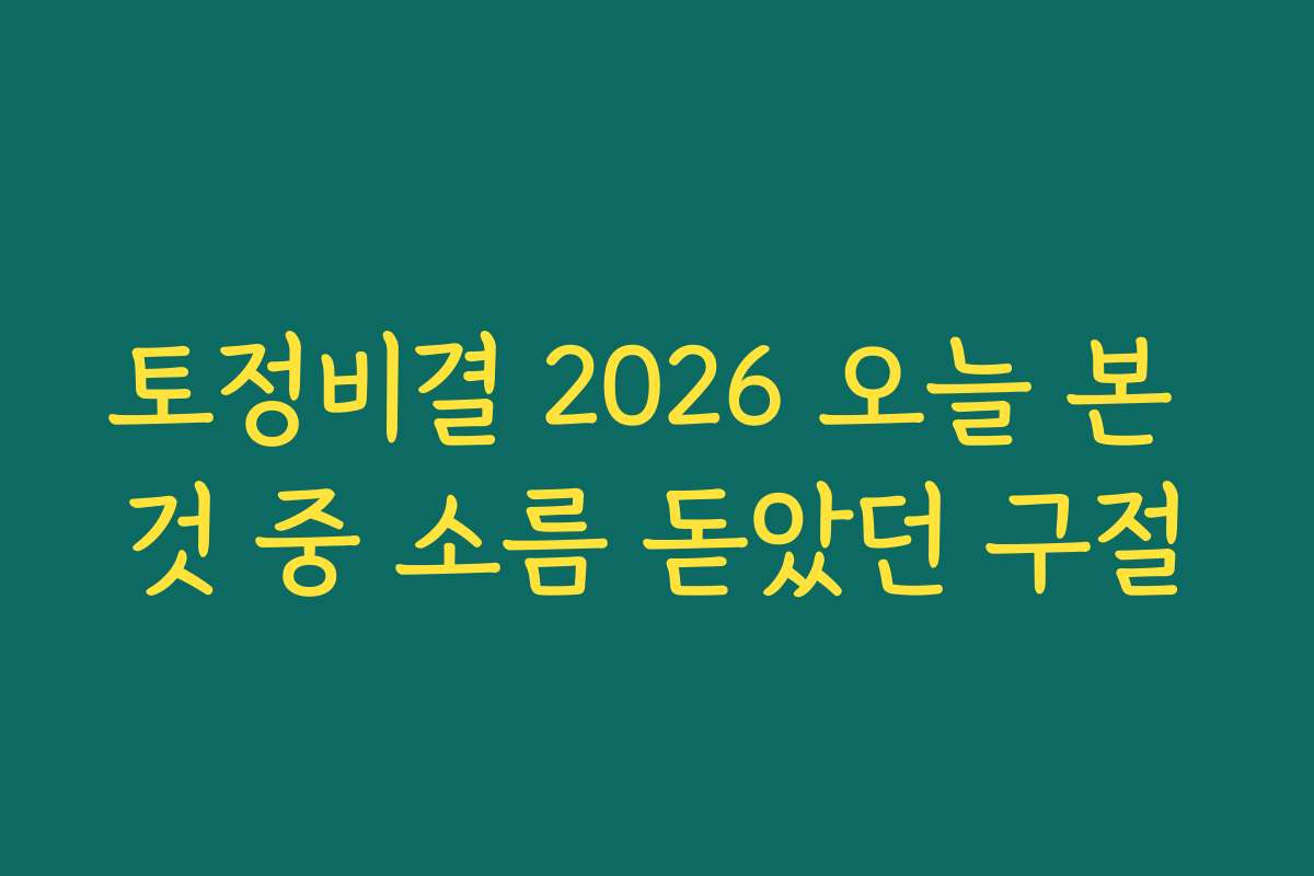 토정비결 2026 오늘 본 것 중 소름 돋았던 구절 토정비결 2026 오늘 본 것 중 소름 돋았던 구절