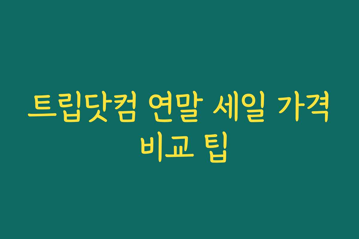 트립닷컴 연말 세일 가격 비교 팁