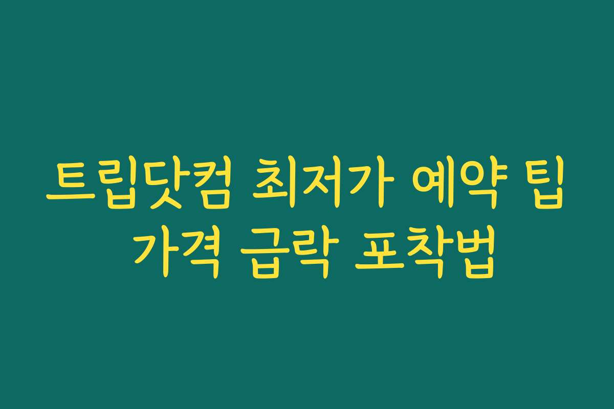 트립닷컴 최저가 예약 팁 가격 급락 포착법