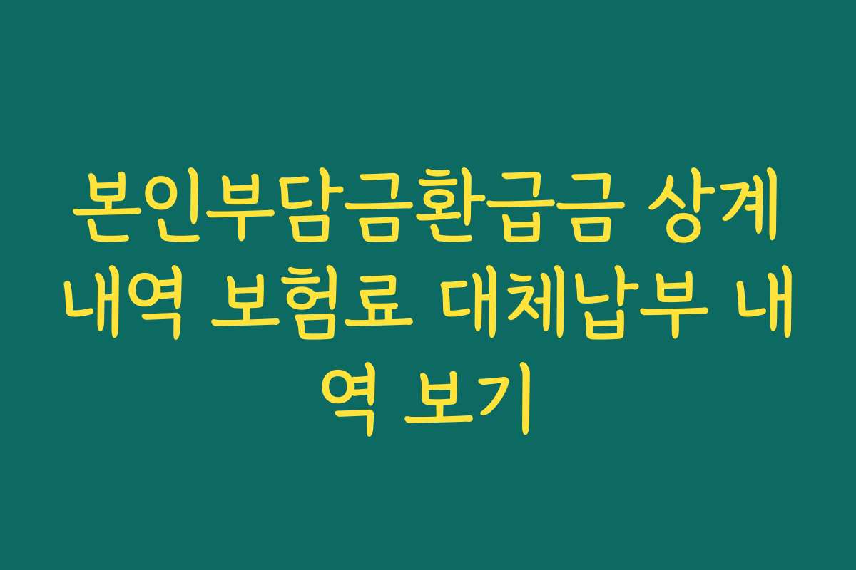 본인부담금환급금 상계내역 보험료 대체납부 내역 보기