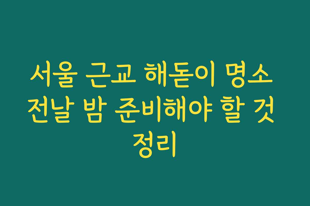 서울 근교 해돋이 명소 전날 밤 준비해야 할 것 정리