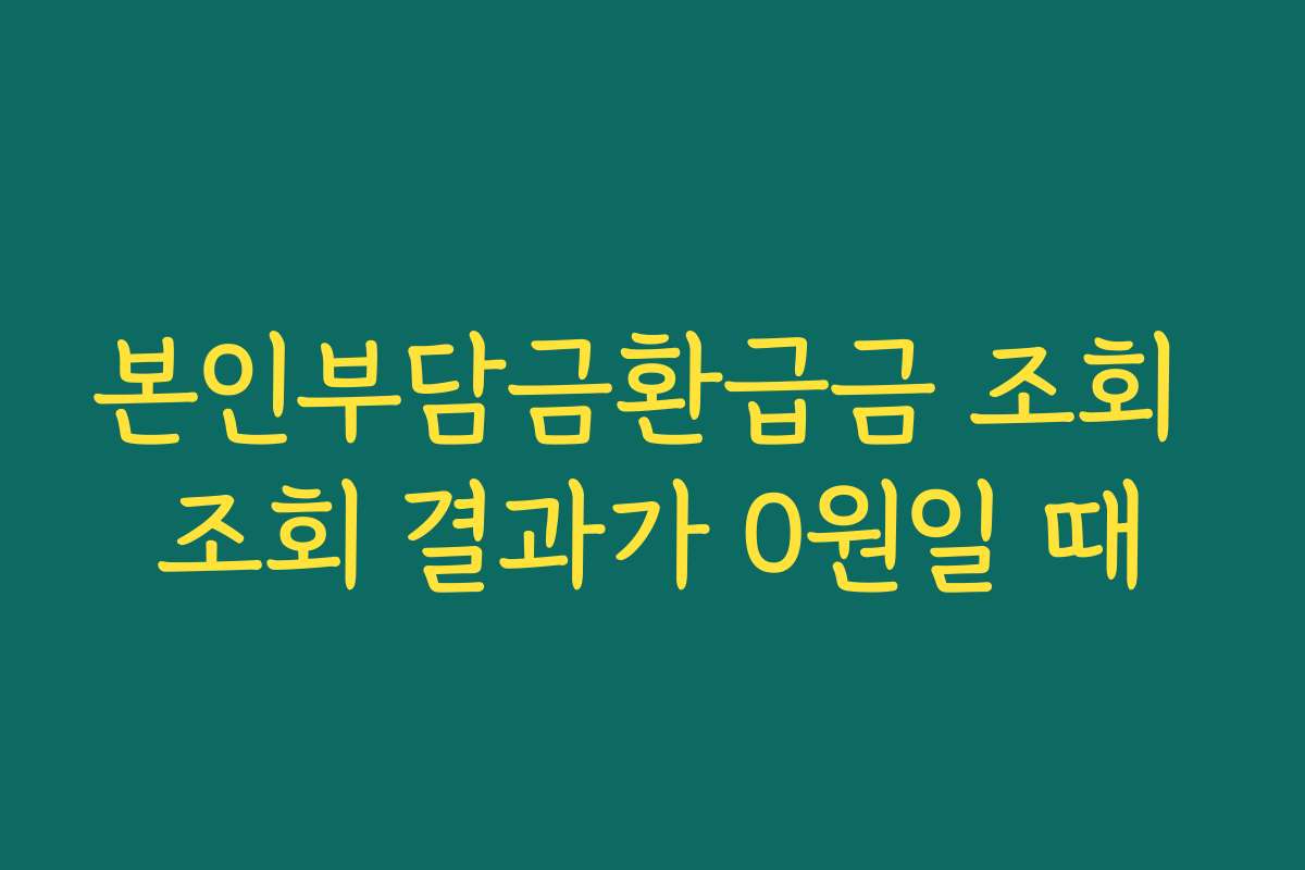 본인부담금환급금 조회 조회 결과가 0원일 때