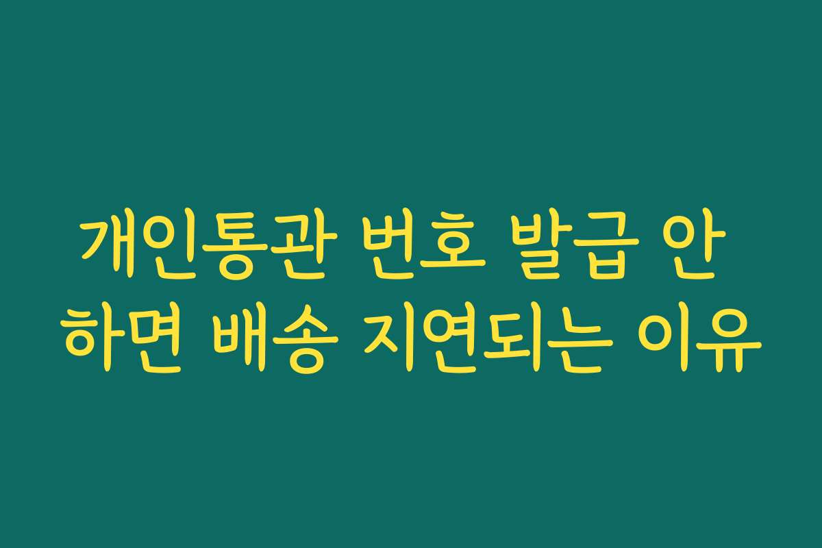 개인통관 번호 발급 안 하면 배송 지연되는 이유