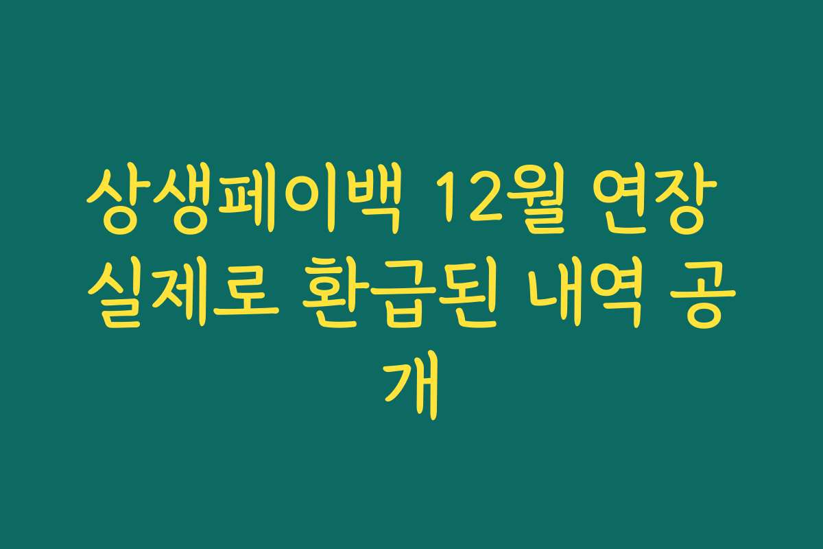 상생페이백 12월 연장 실제로 환급된 내역 공개