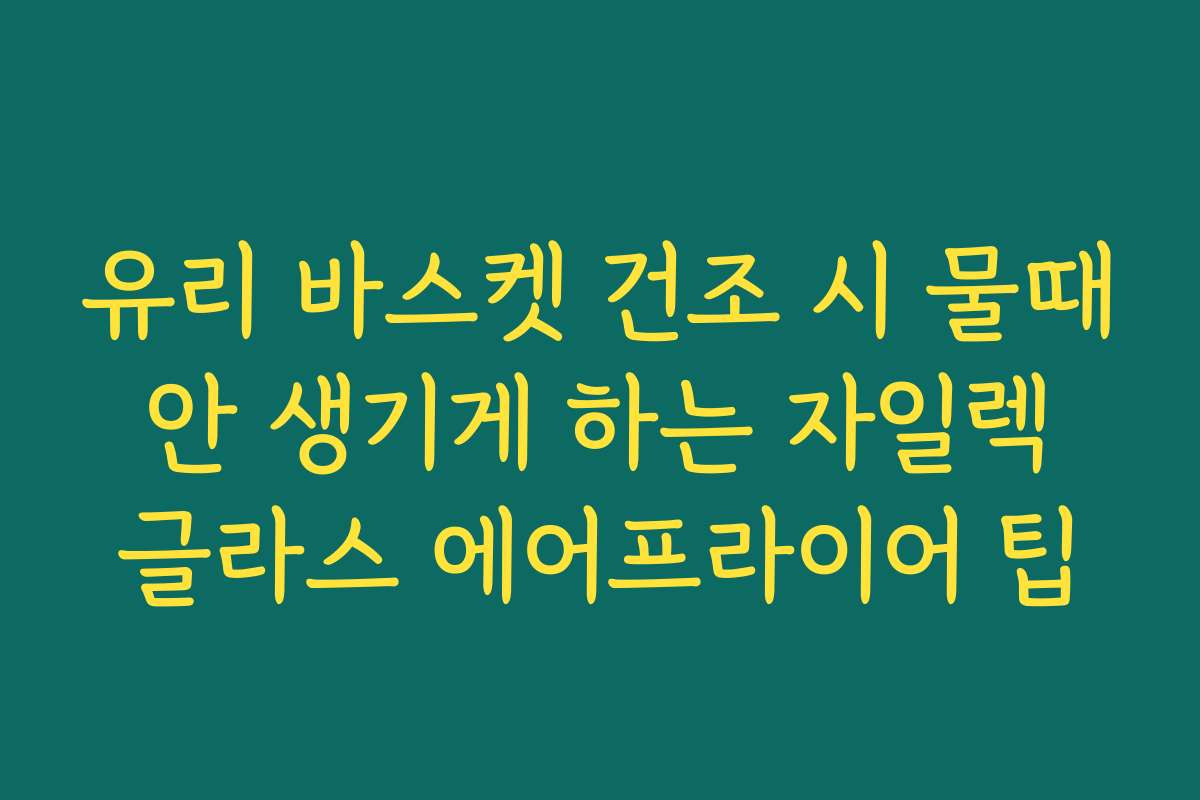 유리 바스켓 건조 시 물때 안 생기게 하는 자일렉 글라스 에어프라이어 팁 유리 바스켓 건조 시 물때 안 생기게 하는 자일렉 글라스 에어프라이어 팁