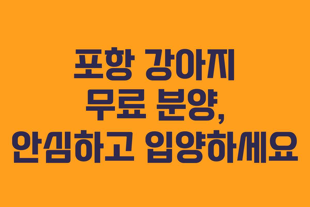 포항 강아지 무료 분양, 안심하고 입양하세요