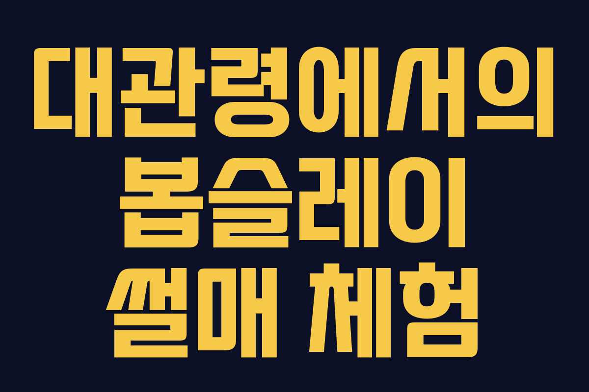 대관령에서의 봅슬레이 썰매 체험