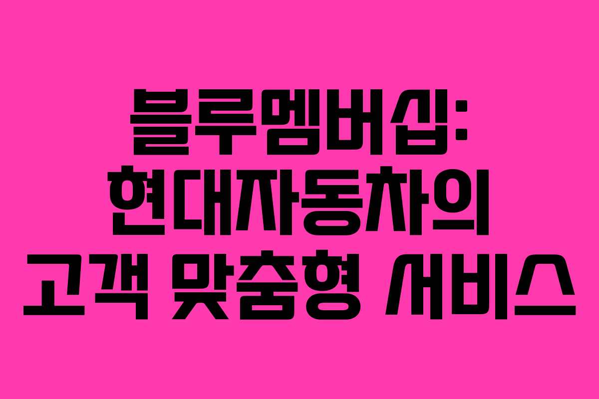 블루멤버십: 현대자동차의 고객 맞춤형 서비스
