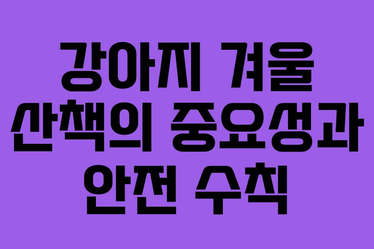 강아지 겨울 산책의 중요성과 안전 수칙 강아지 겨울 산책의 중요성과 안전 수칙