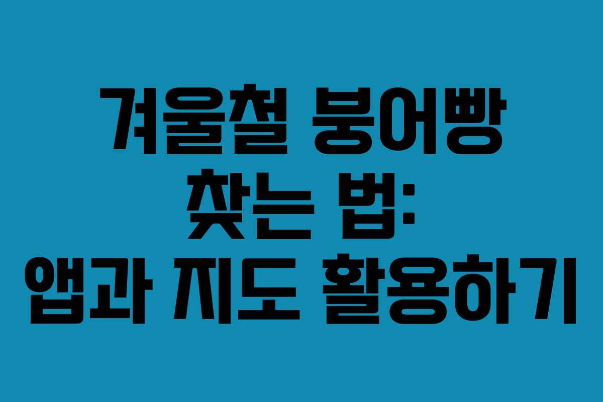 겨울철 붕어빵 찾는 법: 앱과 지도 활용하기